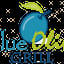 Blue Olive Grill