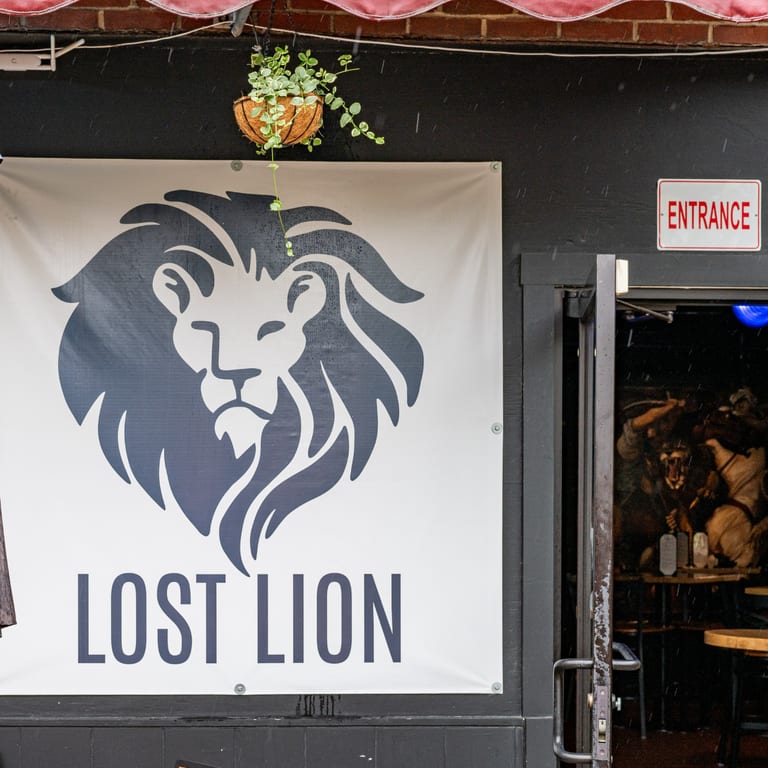 Welcome to Lost Lion