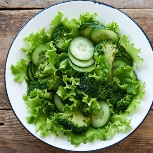 Garden Salad Catering.