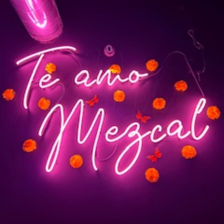 What Makes Us Special