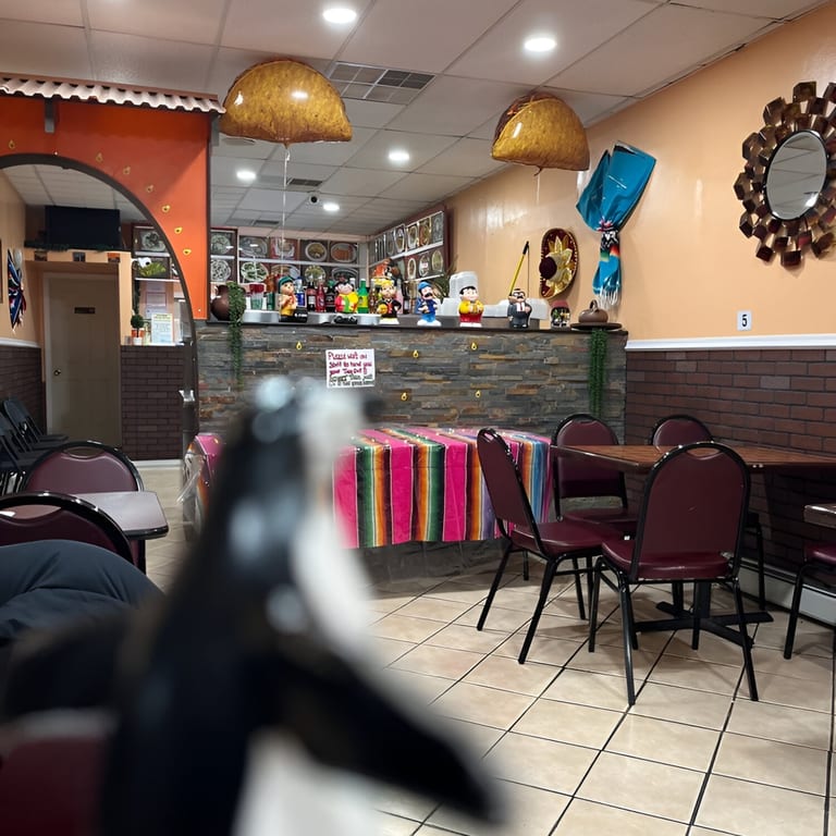 A Casual and Family-Friendly Place to Eat🪑