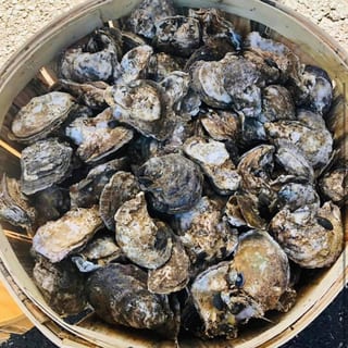 Fresh Oysters (Full Bushel)