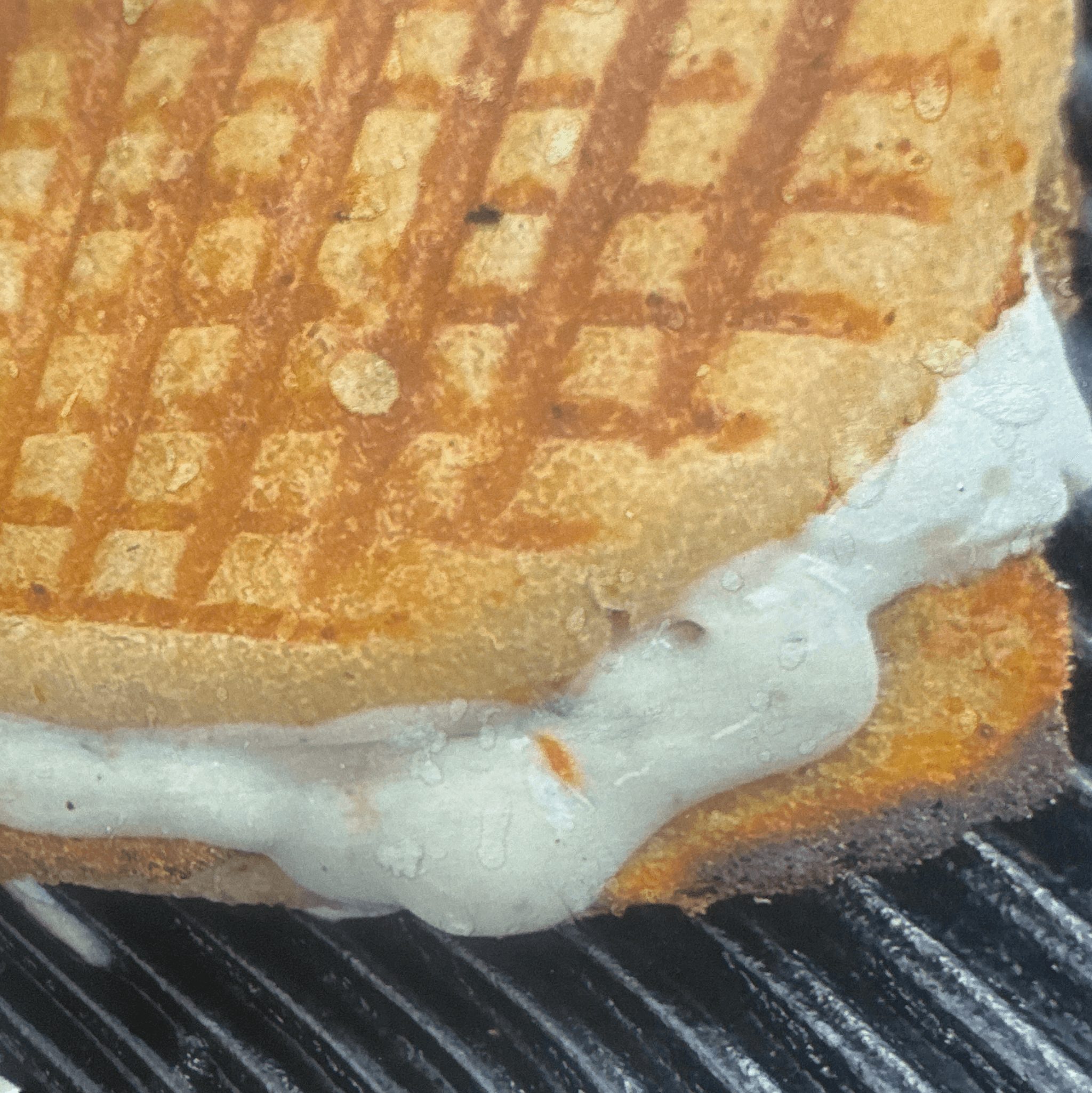 Eggplant, Fresh Mozzarella, Roasted Peppers & Ranch Panini.