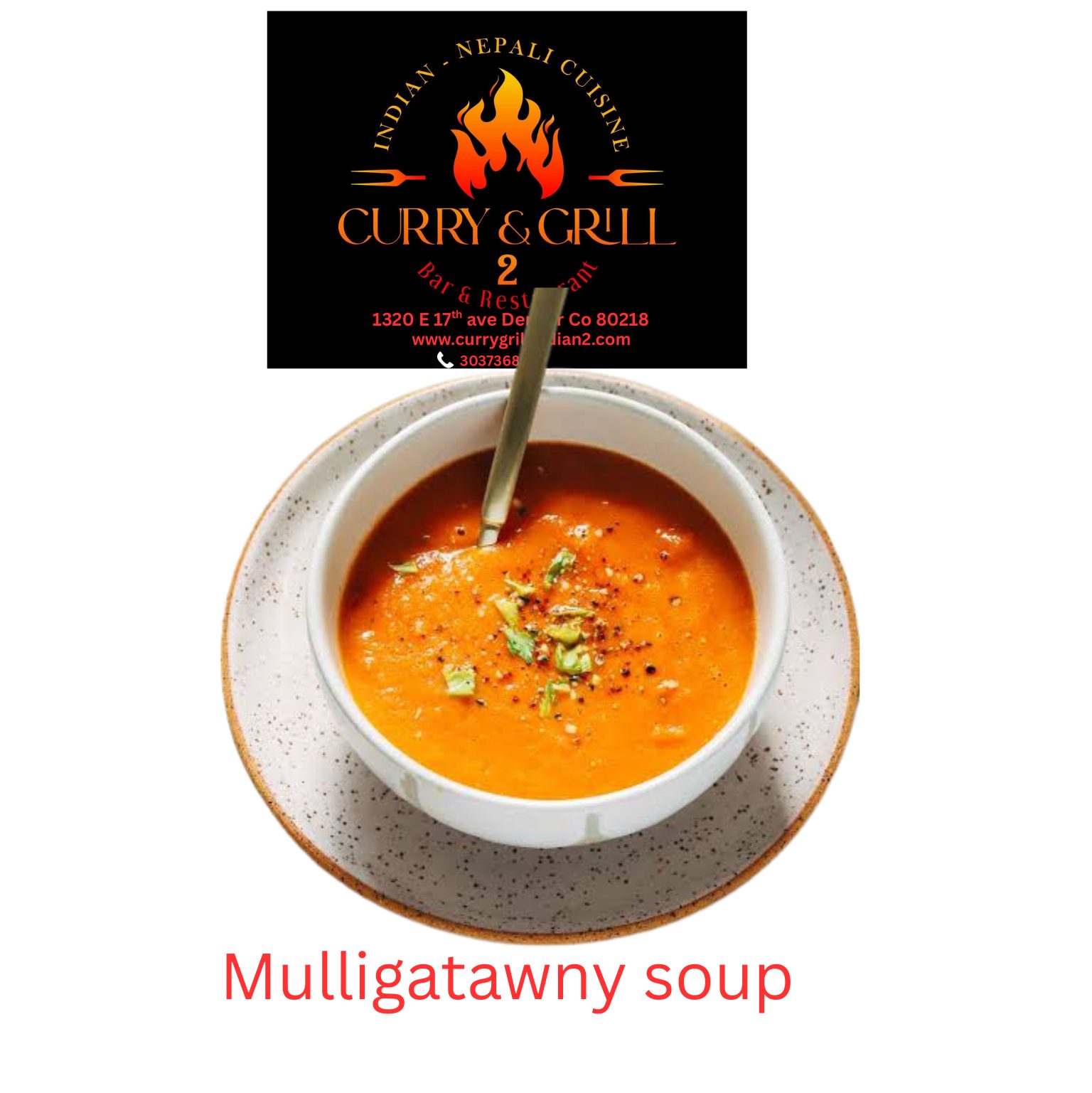 Mulligatawny Soup.
