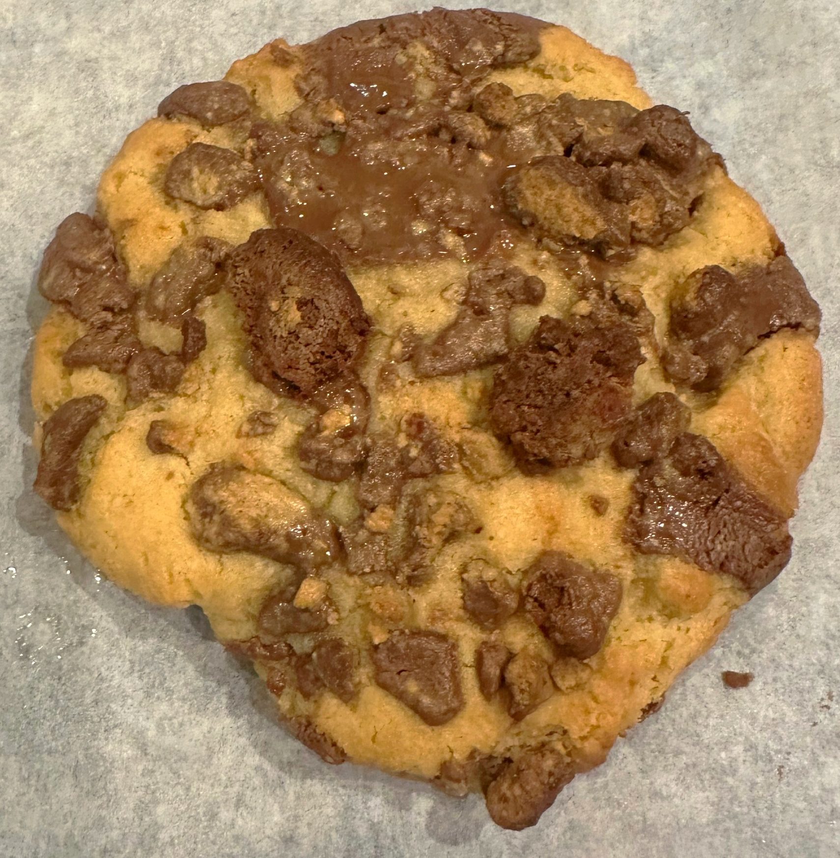 Amusement Park PB Cup.