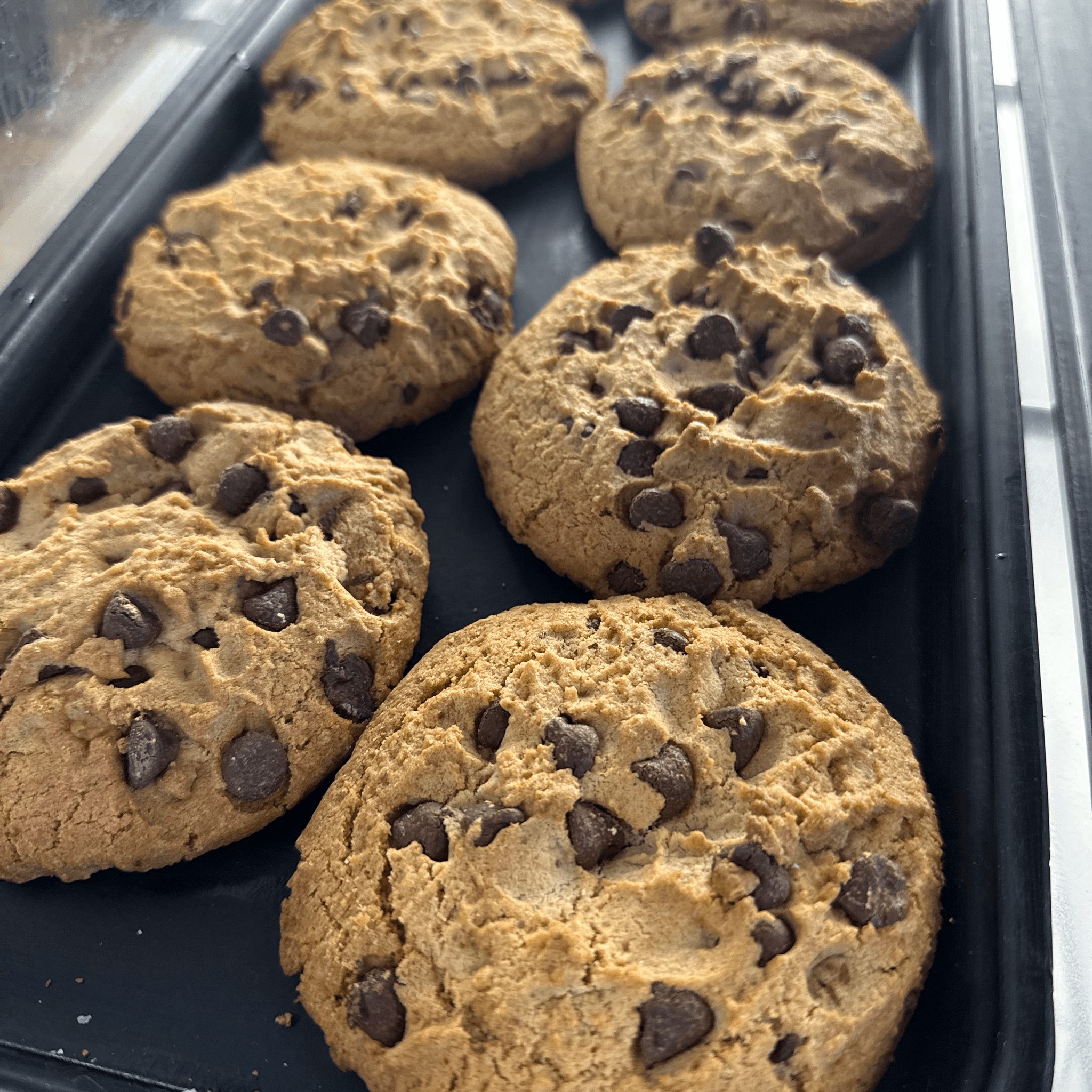 Chocolate Chip Cookie.