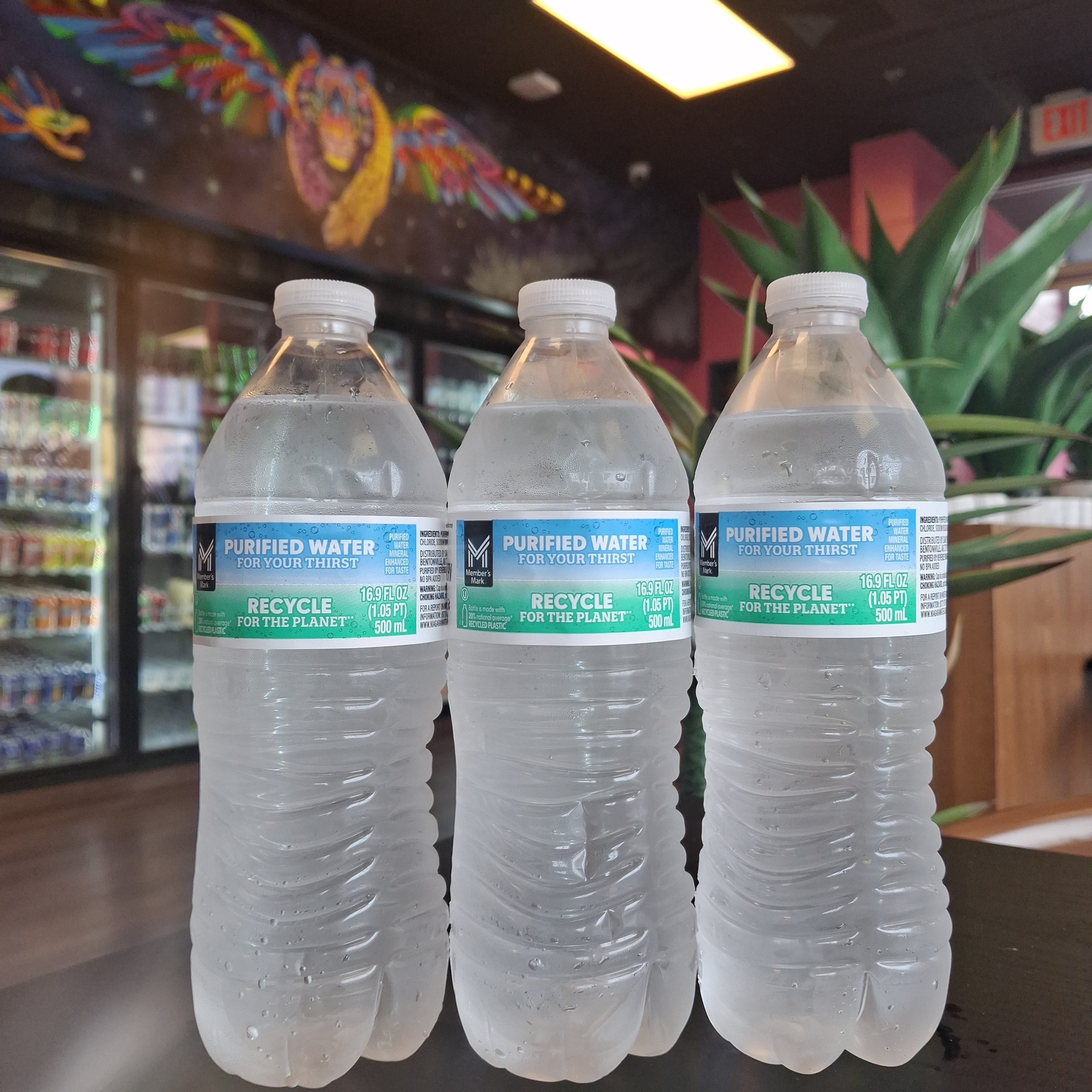 Water Bottle Regular.