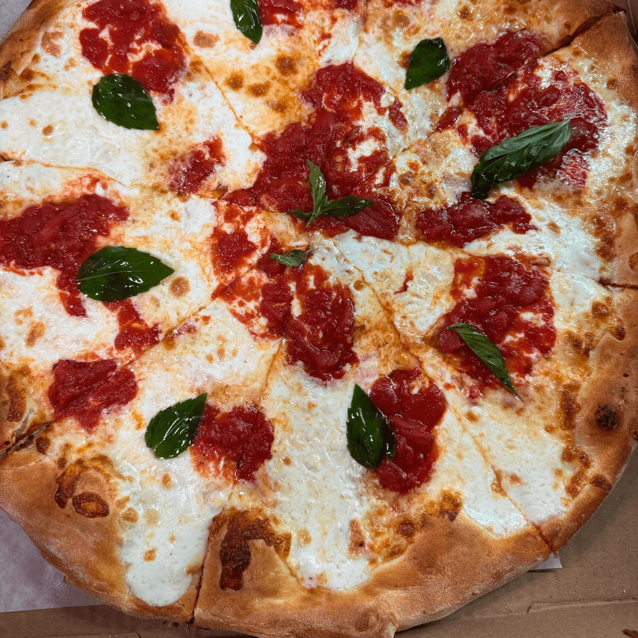 Margherita Pizza.