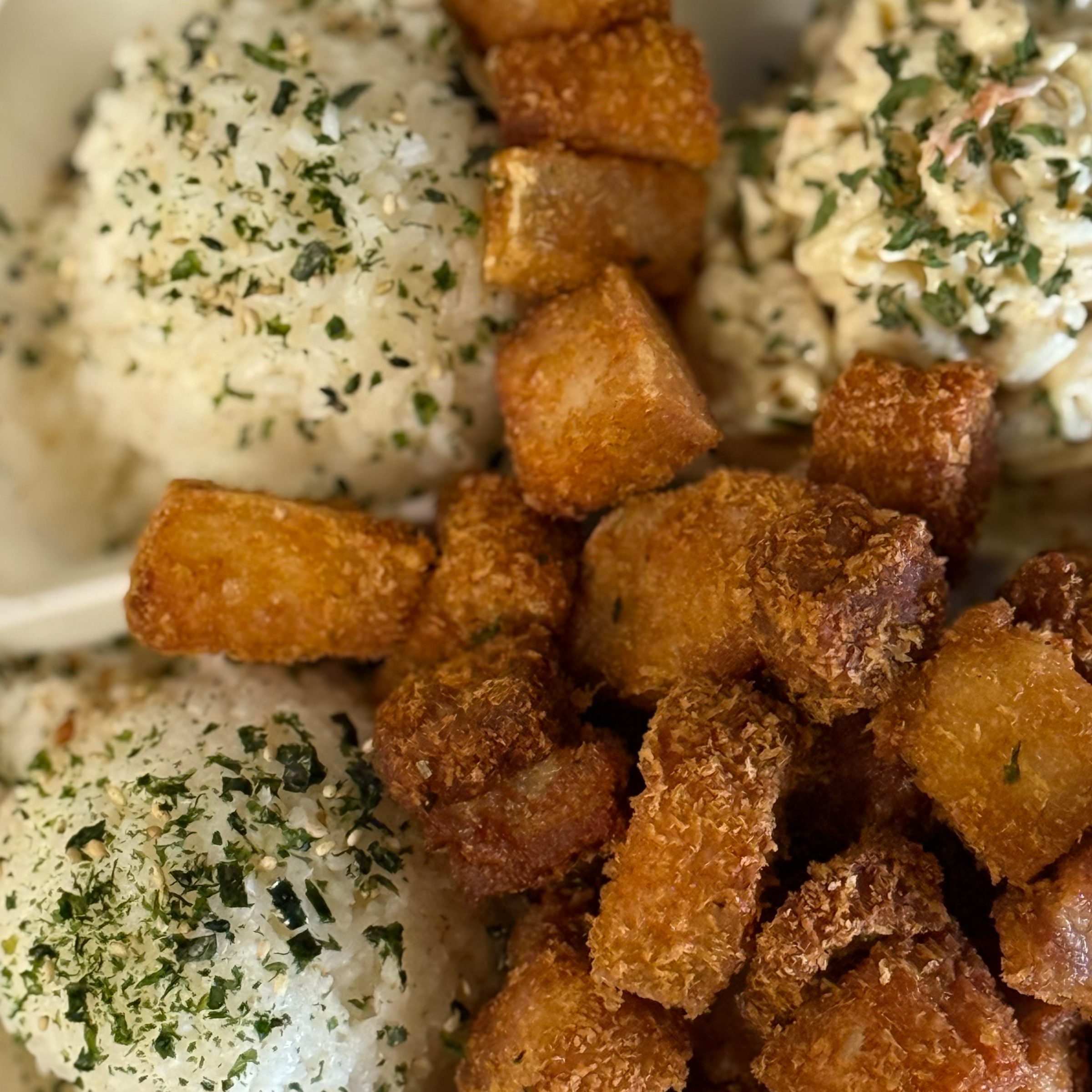 Regular Fried Pork Plate.