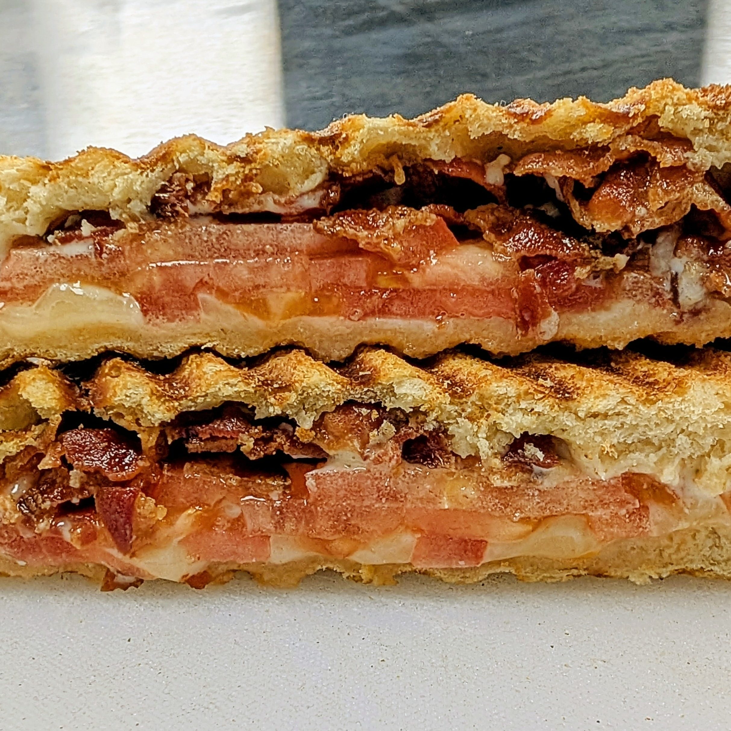 Bacon, Tomato, Cheddar Panini.