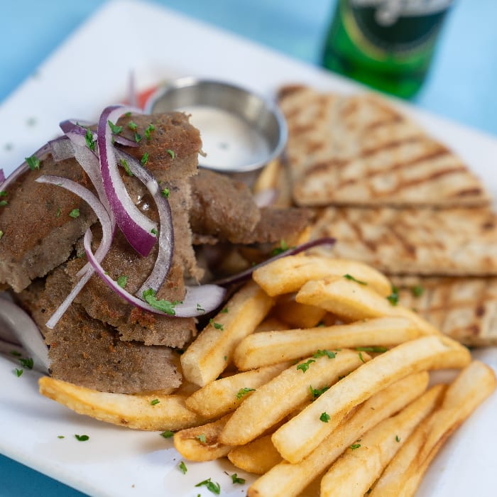 Gyro Plate.